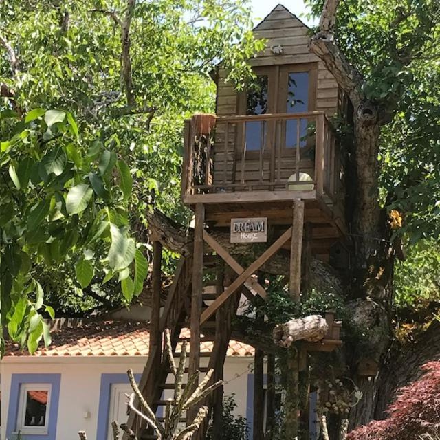 Casa Oliva - Casa Da Serra Porto de Mós Extérieur photo