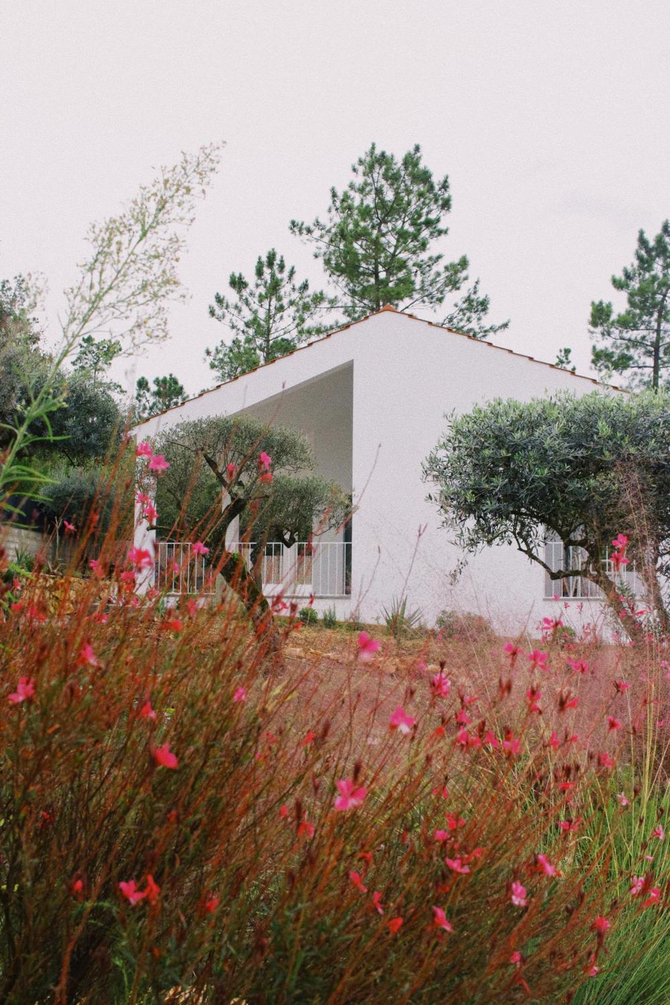 Casa Oliva - Casa Da Serra Porto de Mós Extérieur photo